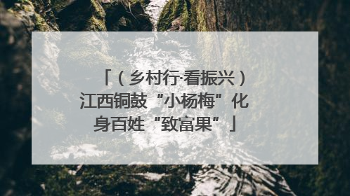 （乡村行·看振兴）江西铜鼓“小杨梅”化身百姓“致富果”