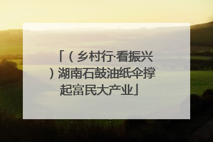 （乡村行·看振兴）湖南石鼓油纸伞撑起富民大产业