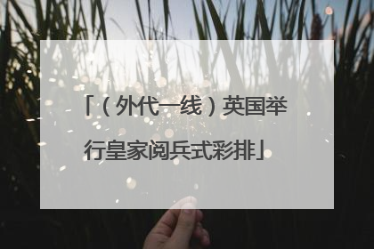 （外代一线）英国举行皇家阅兵式彩排