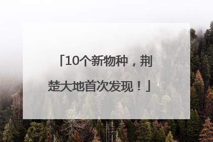 10个新物种，荆楚大地首次发现！