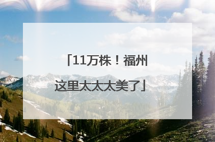 11万株！福州这里太太太美了