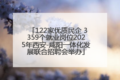 122家优质民企 3359个就业岗位2025年西安-咸阳一体化发展联合招聘会举办