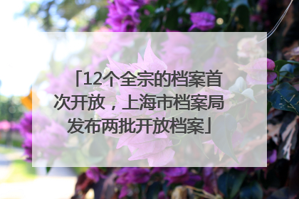12个全宗的档案首次开放，上海市档案局发布两批开放档案