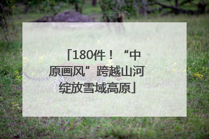 180件！“中原画风”跨越山河绽放雪域高原