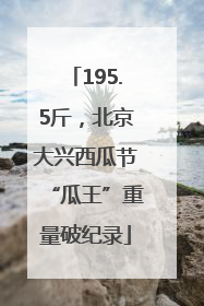 195.5斤，北京大兴西瓜节“瓜王”重量破纪录