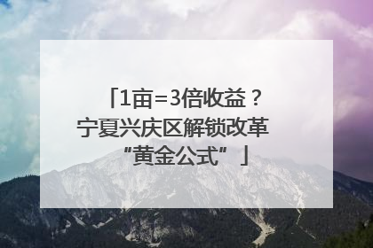 1亩=3倍收益？宁夏兴庆区解锁改革“黄金公式”