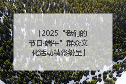 2025“我们的节日·端午”群众文化活动精彩纷呈