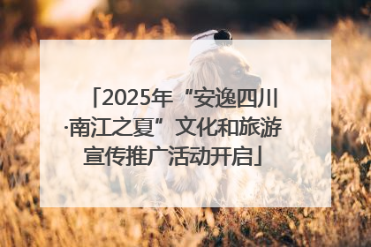 2025年“安逸四川·南江之夏”文化和旅游宣传推广活动开启