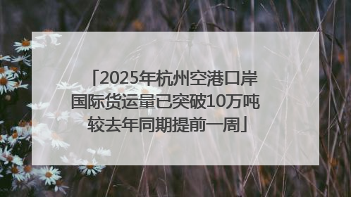 2025年杭州空港口岸国际货运量已突破10万吨 较去年同期提前一周