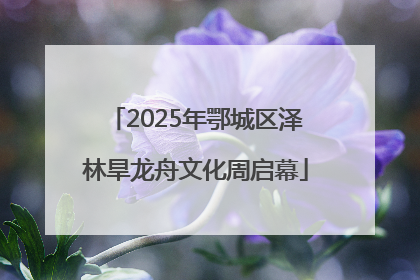2025年鄂城区泽林旱龙舟文化周启幕