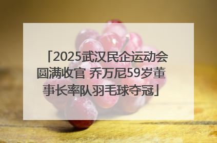2025武汉民企运动会圆满收官 乔万尼59岁董事长率队羽毛球夺冠