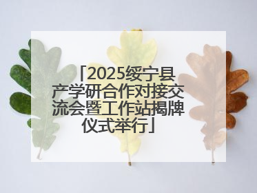 2025绥宁县产学研合作对接交流会暨工作站揭牌仪式举行