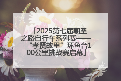 2025第七届朝圣之路自行车系列赛——“孝贤故里”环鱼台100公里挑战赛启幕