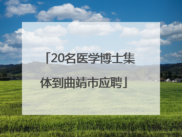 20名医学博士集体到曲靖市应聘