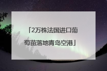 2万株法国进口葡萄苗落地青岛空港