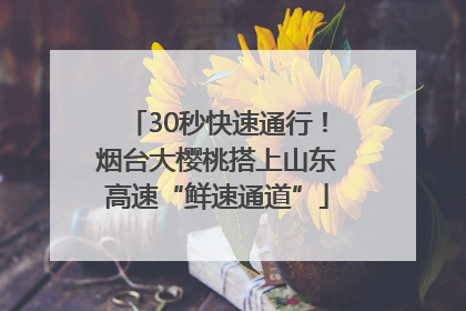30秒快速通行！烟台大樱桃搭上山东高速“鲜速通道”