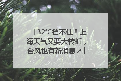 32℃挡不住！上海天气又要大转折，台风也有新消息↗