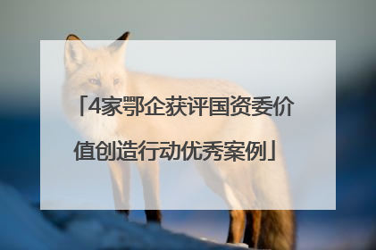 4家鄂企获评国资委价值创造行动优秀案例