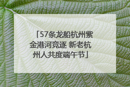 57条龙船杭州紫金港河竞逐 新老杭州人共度端午节