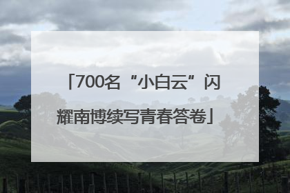 700名“小白云”闪耀南博续写青春答卷