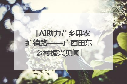 AI助力芒乡果农扩销路——广西田东乡村振兴见闻