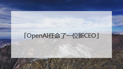 OpenAI任命了一位新CEO