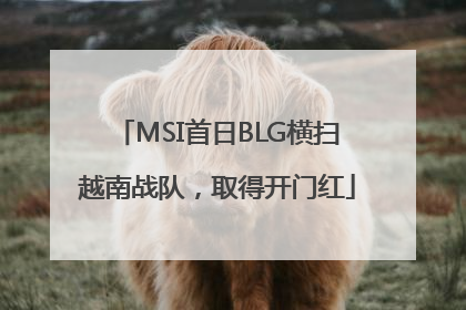MSI首日BLG横扫越南战队，取得开门红